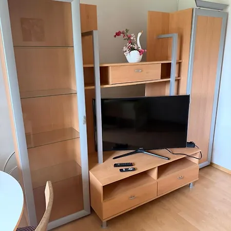 Apartament Wohnhaus Leitner Wald am Schoberpass